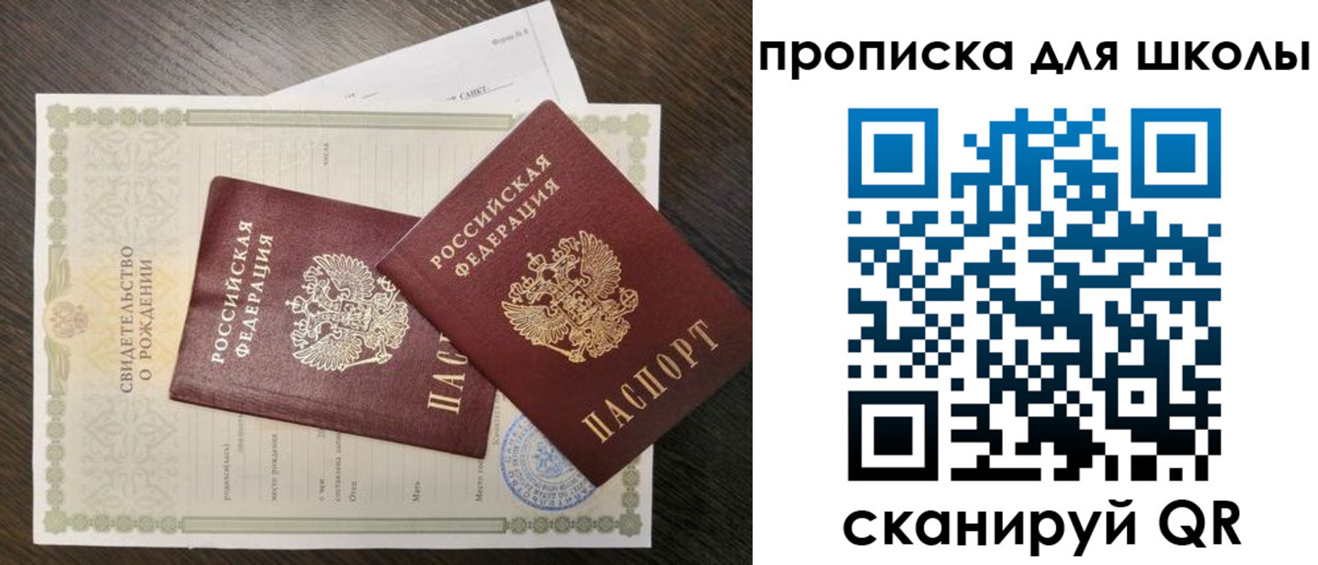 прописка гарантия в Мытищах